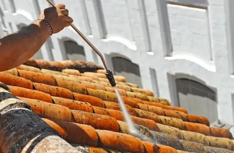 Nettoyage de toitures - Vizille